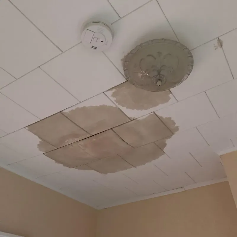 Ceiling Water Damage Repair in Moretown, VT