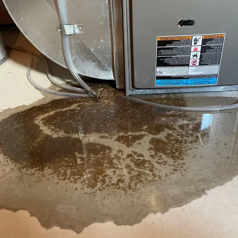 Pipe Burst and Leak Restoration in Moretown, VT